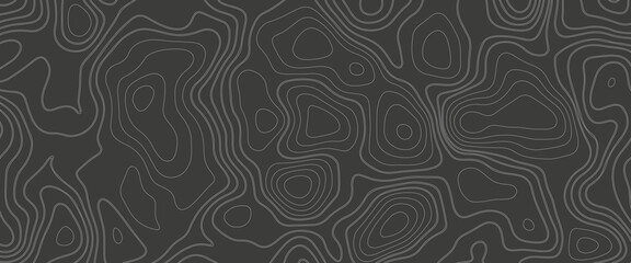 Abstract topographic map background. Abstract topographic map background. Imitation of a geographical map. Geographic map conceptual design. Elegant background for presentations.