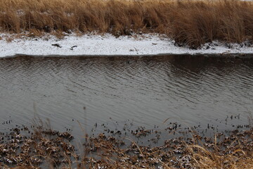 river close up