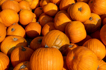 pumpkins on a marketplace in a box