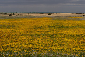 Various views of Cap Bon, north east Tunisia