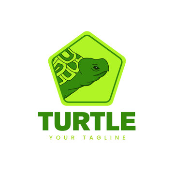 Turtle logo with pentagon shape