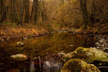 Rivi&egrave;re sauvage des Pyr&eacute;n&eacute;es orientales 