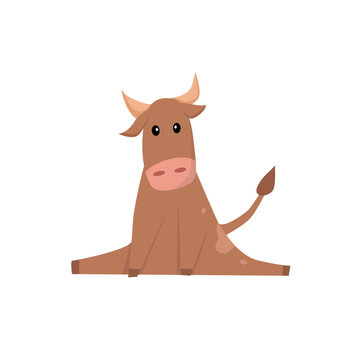 Vector cartoon illustration on a white background. Sitting cow.