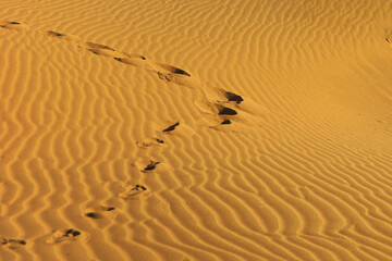 footprint in the desert, sand