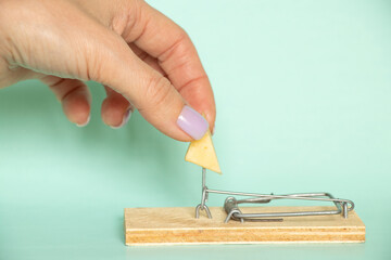 A woman's hand takes a piece of cheese from a mousetrap on a blue background, danger and cheese in...