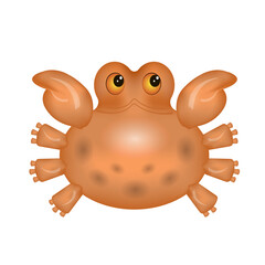 Fototapeta na wymiar Crab . Funny animals in cartoon style. Vector image. 
