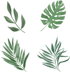 set watercolor plants