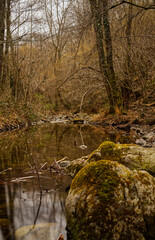 rivi&egrave;re sauvage des Pyr&eacute;n&eacute;es orientales 