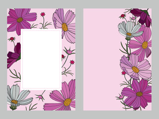 Set of floral cards. Botanical elements of Cosmos on a pink background. Size 2:3 Flowers in ink