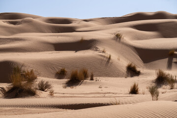 Views of the desert, Douz region, southern Tunisia