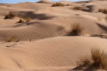 Views of the desert, Douz region, southern Tunisia