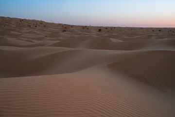 Views of the desert, Douz region, southern Tunisia