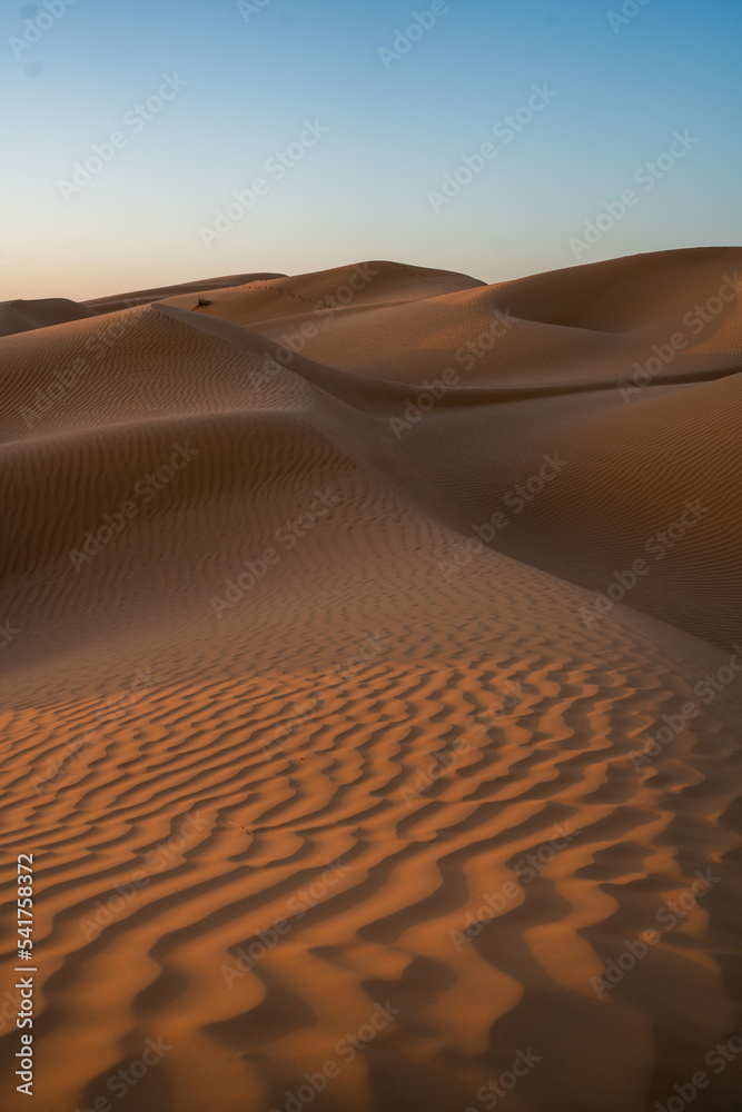 Poster Views of the desert, Douz region, southern Tunisia