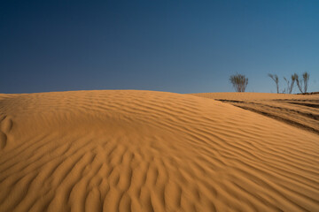 Views of the desert, Douz region, southern Tunisia