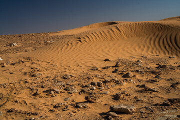 Views of the desert, Douz region, southern Tunisia