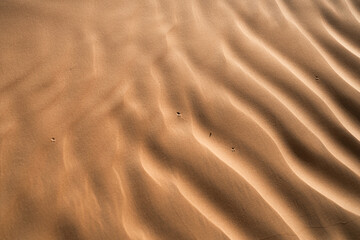 Views of the desert, Douz region, southern Tunisia