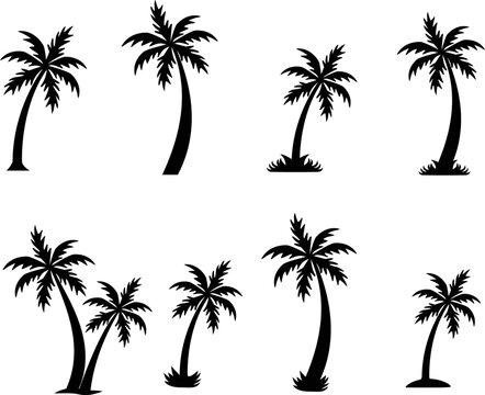 Black palm trees set on white background. Palm silhouettes. Tropical palm trees sign. Flat Style.