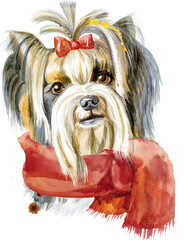 Watercolor portrait of yorkshire terrier breed dog with red scarf