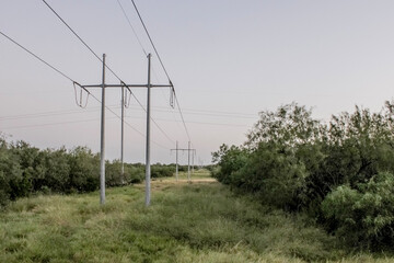 The Electrical Division
