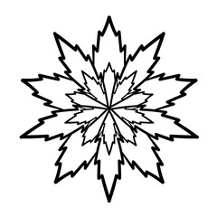 Elegant snowflake. Vector design element.