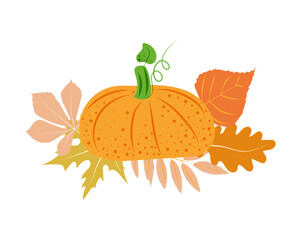 Autumn leaf and vegetable compositions for postcards. Pumpkins and autumn leaves in bright orange. Suitable for posters and invitations.