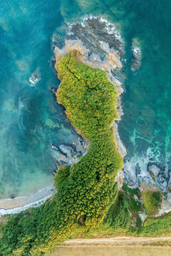 Aerial topdown view of coastal path above Polridmouth cove, Cornwall, United Kingdom.