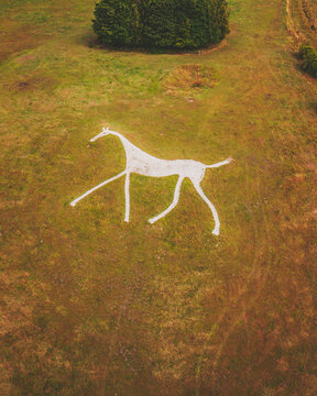 Aerial view of the Hackpen White Horse drawing, England, United Kingdom.