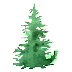 Christmas tree. Watercolor art. Vector evergreen tree illustration. Isolated new year