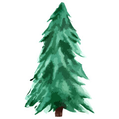 Christmas tree. Watercolor art. Vector evergreen tree illustration. Isolated new year