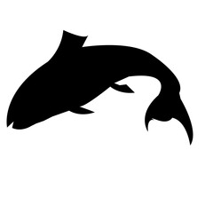 silhouette of a dolphin