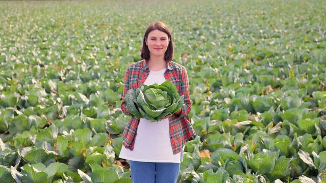 Background of a blurred skyline and a vegetable field, a young woman farmer stands smiling with cabbage in her hands. Harvest season. Clear calm clear sky, good weather. Looking at camera front view.