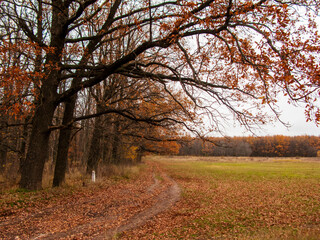 Photo of the autumn landscape