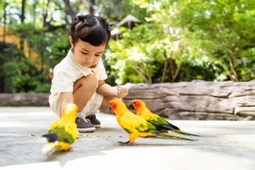 Portrait of an asian little girl feeding birds on hands in the park. - obrazy, fototapety, plakaty