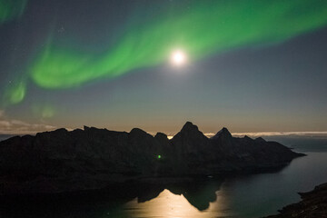 Aerial view of the northern lights over the fjords at night in Sermersooq, Greenland.