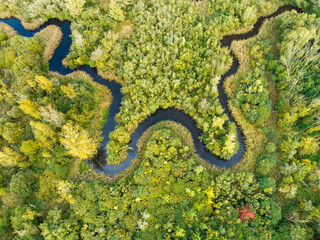 Abstract aerial top view of meandering river Aa in forest, Starkriet, Someren-Eind, Noord-Brabant, Netherlands.