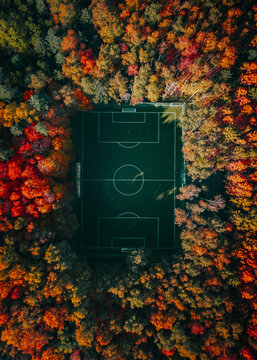 Aerial view of football field hidden in fall foliage forest, Moscow, Russia.