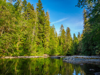 Fototapeta na wymiar A tranquil section of the Englishman River flowing through the forest on Vancouver Island.