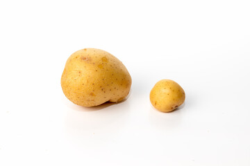 Large and small size of potatos isolated on white background