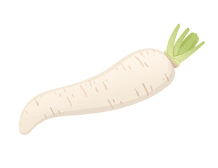 White daikon radish root with green stem cartoon vegetable plant vector illustration isolated on white background