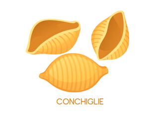 Uncooked italian pasta Conchiglie cuisine staples vector illustration isolated on white background