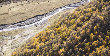 Mountain forest slope with trees yellowed in autumn and a noisy mountain river below in the valley, on a sunny October day