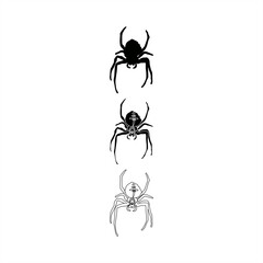 set of silhouette illustrations and monochrome line art of spiders