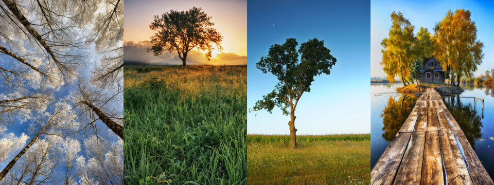 Four Seasons Collage - Spring, Summer, Autumn, Winter. landscape of Ukraine