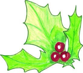 Green leaf of holly. 