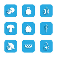 Set Plum fruit, Watermelon, Avocado, Spinach, Lemon, Mushroom, and Orange icon. Vector