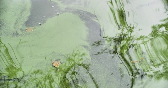 Texture graphique, ondulation sur plan d'eau