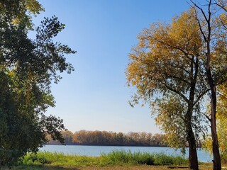 Obraz premium autumn in the park