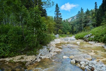 Obraz premium A swift mountain river. Water flows in nature. Mountainous terrain.