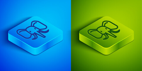 Isometric line Elephant icon isolated on blue and green background. Square button. Vector