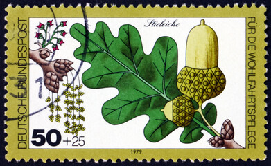 Postage stamp Germany 1979 English oak